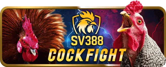 Cá cược thể thao j33 win với nhiều môn thể thao khác nhau